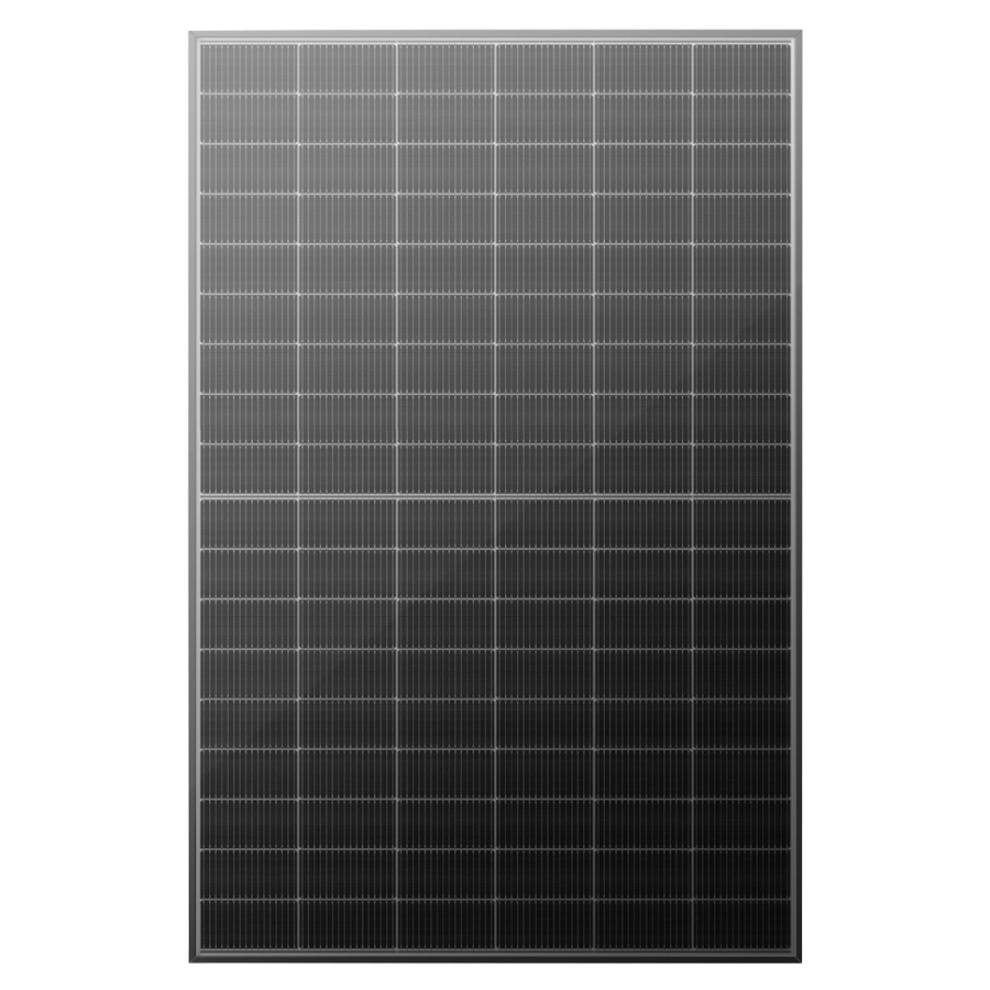 Risen Solar Panel